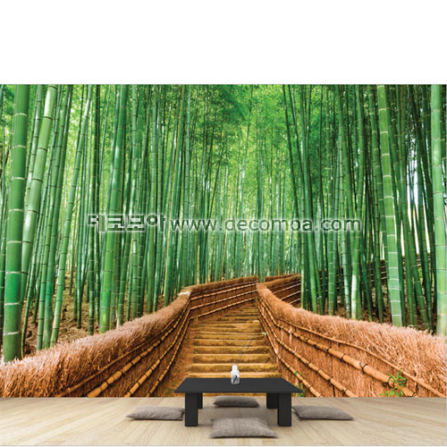 [디자인벽지] 대나무숲 자연 동